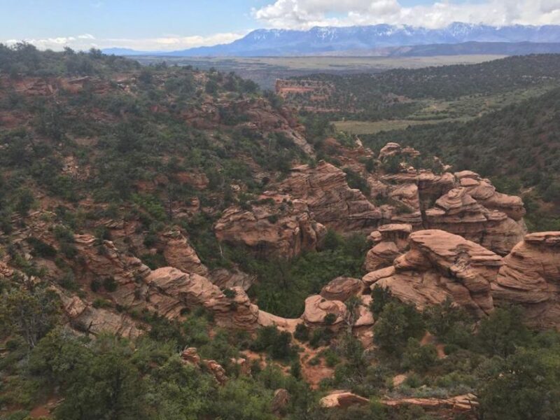 Springdale: Half-Day Canyoneering Experience - Participant Information