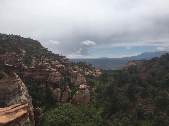 Springdale: Half-Day Canyoneering Experience - Guided Tour Highlights