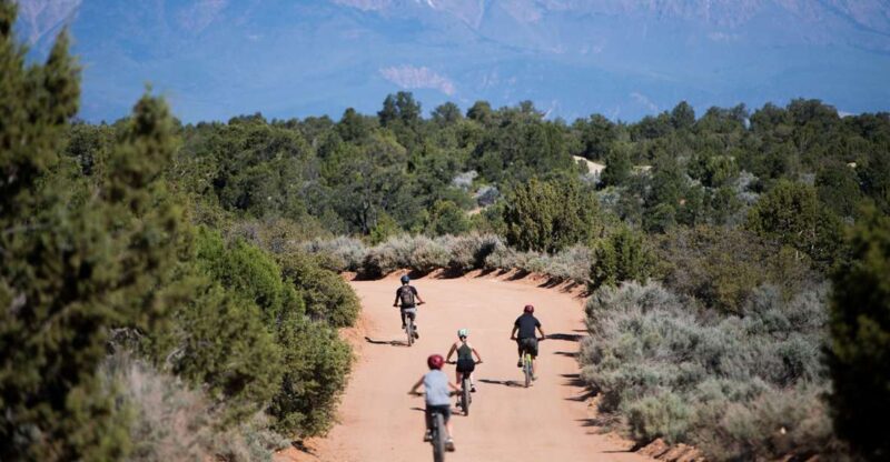 Springdale: Half-Day Mountain Biking Adventure - Key Points