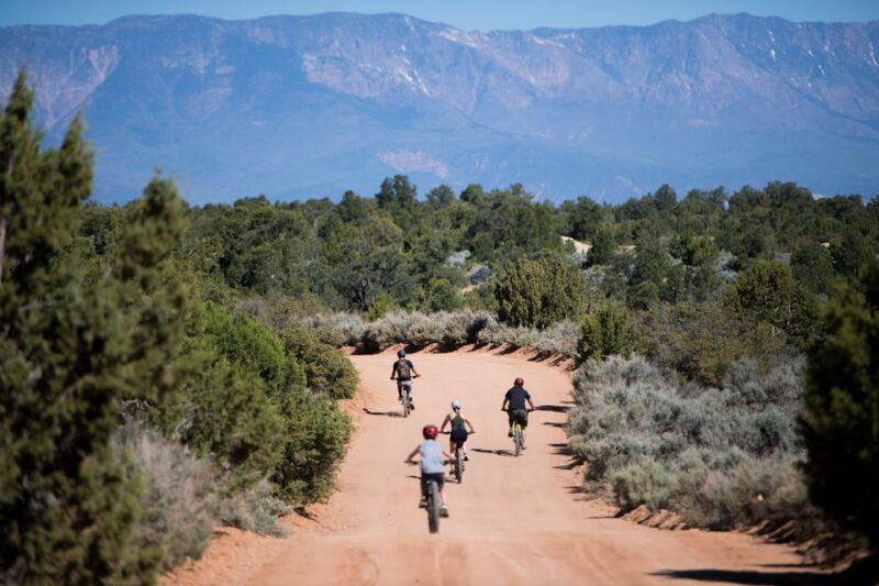 Springdale: Half-Day Mountain Biking Adventure - Included Services