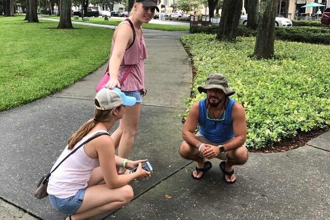 Springfield City Scavenger Hunt by Zombie Scavengers - Accessibility and Participation
