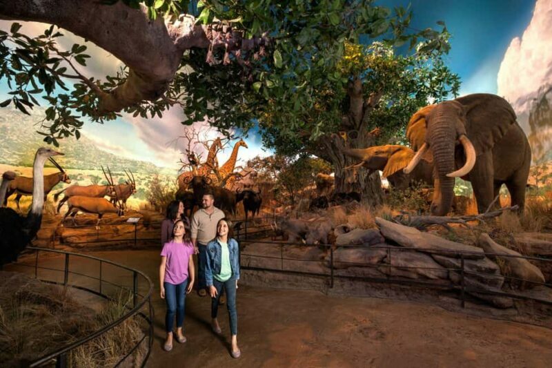 Springfield: Wonders of Wildlife National Museum & Aquarium - An In-Depth Look at the Wonders of Wildlife Experience