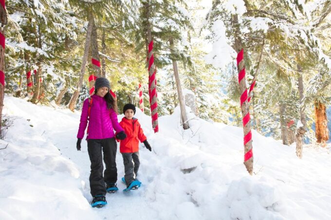 Squamish: Sea to Sky Gondola Admission Ticket - Frequently Asked Questions