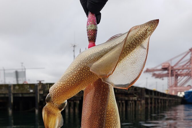 Squid Fishing on Private Guided Boat in Seattle City Waterfront - Targeted Pacific Market Squid