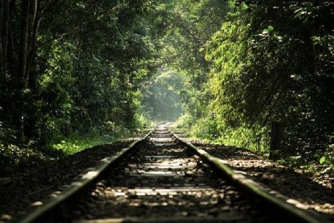 Sreemangal Tour! Sylhet, Bangladesh - Madhabpur Lake and Tea Estate