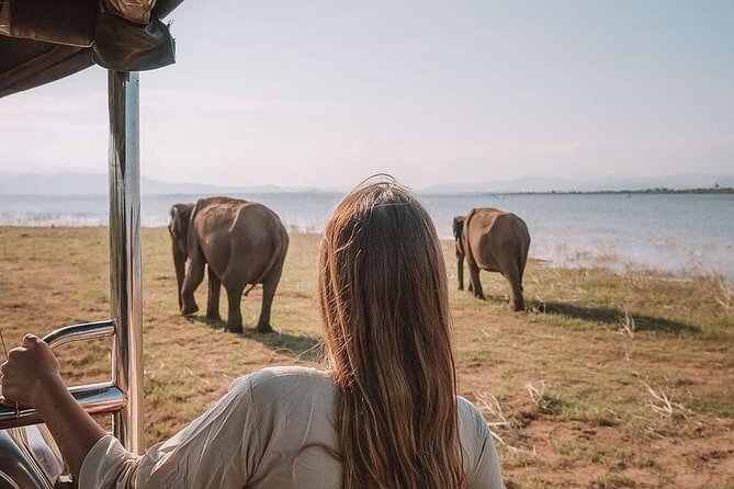 Sri Lanka 03 Night 04 Days Budget Tour Package - Meeting and Pickup