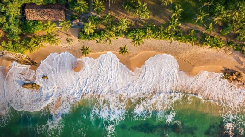 Sri Lanka 10 Days Tour Package - Best of Sri Lanka - Key Points
