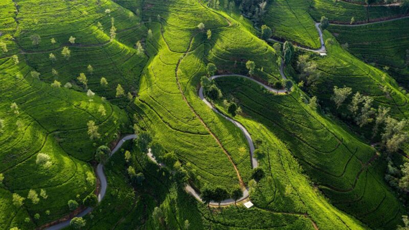 Sri Lanka 10 Days Tour Package - Best of Sri Lanka - Climb Sigiriya Rock Fortress