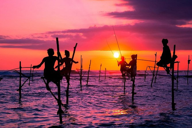 Sri Lanka 10 Days Tour Package Lifetime Experience - Relaxing in Picturesque Landscapes