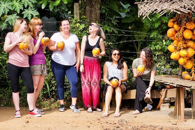 Sri Lanka 11 Nights -12 Days Luxury Guided Tour by Mini-Coach - Accommodation and Amenities