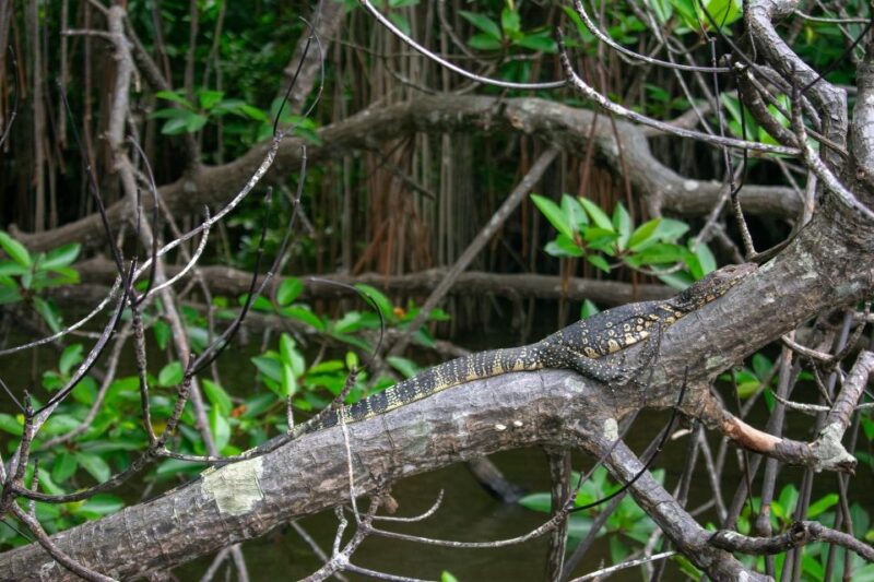 Sri Lanka 2-Day National Parks Trip - Key Points