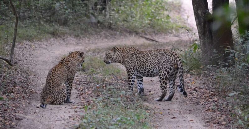 Sri Lanka 2-Day National Parks Trip - Itinerary Highlights