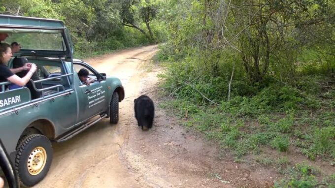 Sri Lanka 2-Day National Parks Trip - Restrictions