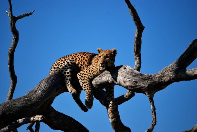 Sri Lanka 2-Day National Parks Trip - Frequently Asked Questions