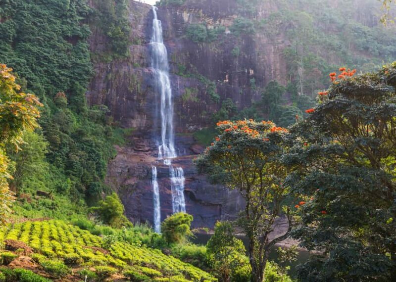 Sri Lanka 2-day Tour:Train Trip, Kandy, Nuwara Eliya, Ella - The Guide and Overall Experience