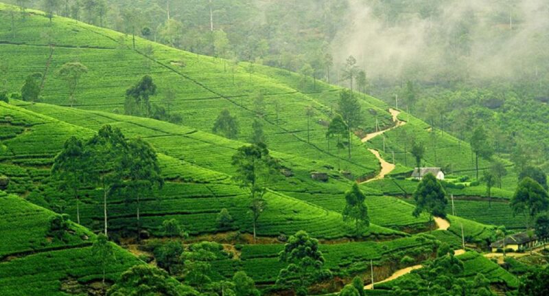 Sri Lanka: 2-Day Wildlife Tour; Rainforest and National Park - Itinerary Highlights