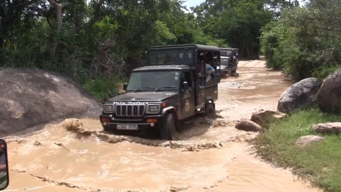 Sri Lanka: 2-Day Wildlife Tour; Rainforest and National Park - Recap