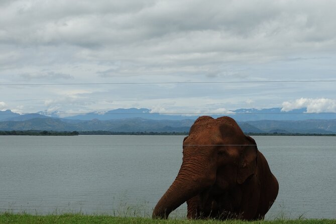 Sri-Lanka - 2 Days Galle Tour From Colombo by Train - Inclusions