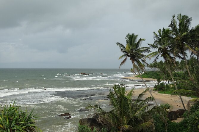 Sri-Lanka - 2 Days Galle Tour From Colombo by Train - Traveler Reviews