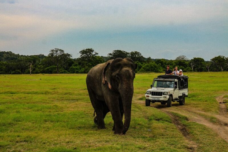 Sri Lanka 3-Day Tour Ancient Temples, Wildlife, Hill Country - Key Points