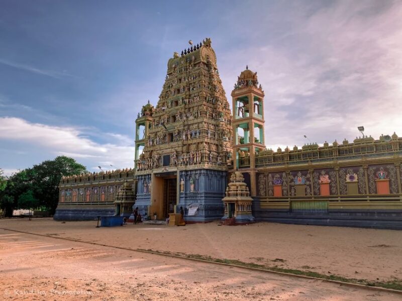 Sri Lanka 3-Day Tour Ancient Temples, Wildlife, Hill Country - Itinerary Highlights