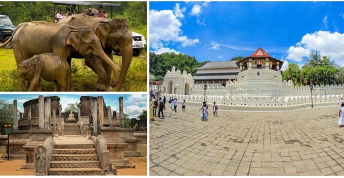 Sri Lanka 3-Day Tour Ancient Temples, Wildlife, Hill Country - Accommodation and Meals