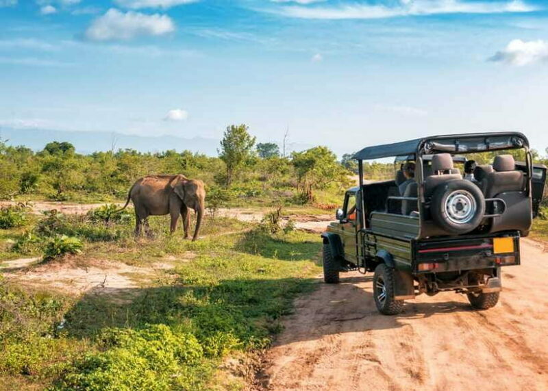 Sri Lanka: 4-Day Private Tour Focusing on Cultural Triangle - Who Will Love This Tour?
