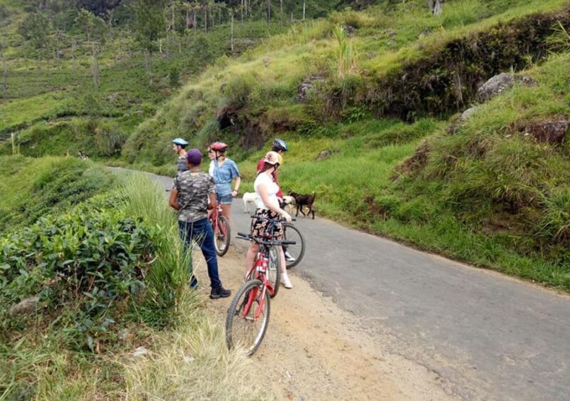 Sri Lanka: 4-Hour Guided Cycling Tour of Ella - Key Points