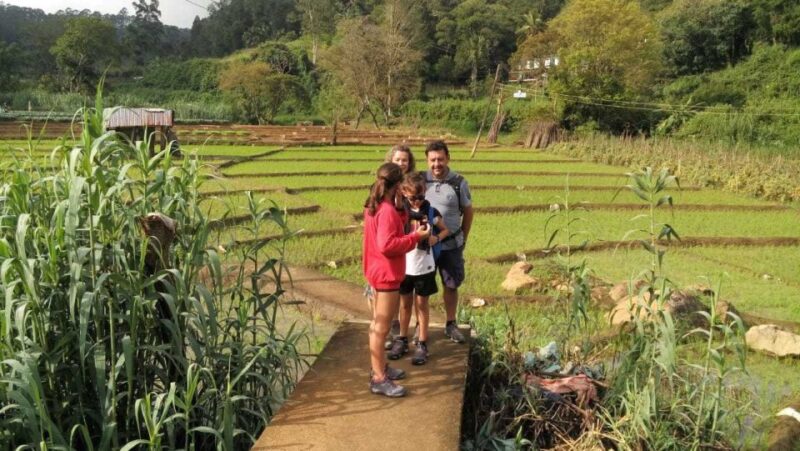 Sri Lanka: 4-Hour Guided Cycling Tour of Ella - Inclusions