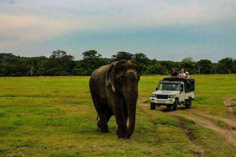 Sri Lanka: 4N5Day guided FULL TOUR with hotel accommodations - Key Points