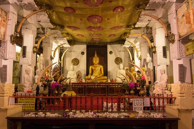 Sri Lanka 5 Day Privet Tour - Key Points