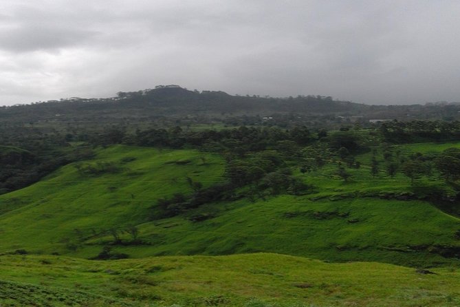 Sri Lanka 5 Days Tour Package - Tour Reviews and Ratings