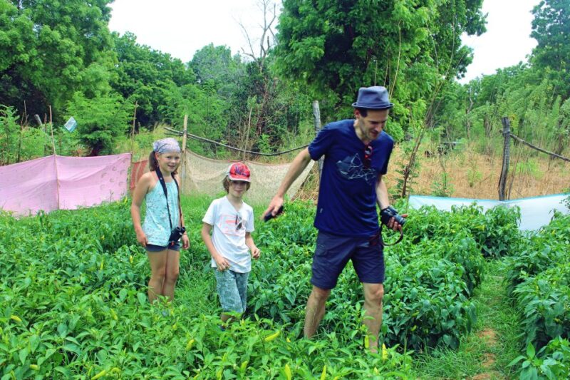 Sri Lanka: 5-Hour Guided Tour of Ella Village - Experience Highlights