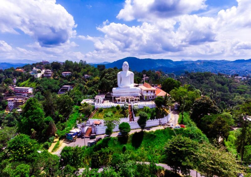 Sri Lanka: 7-Day Culture and Heritage Tour - Transportation and Services