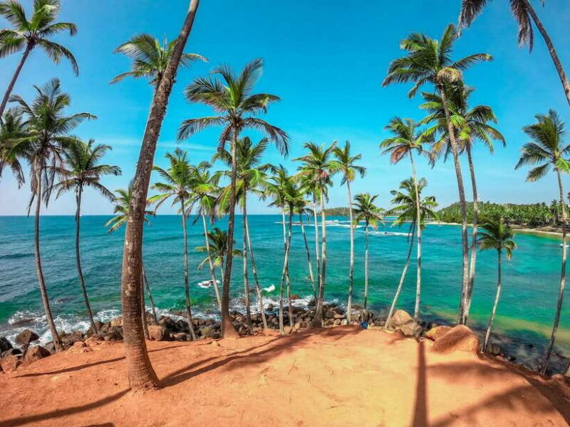 Sri Lanka: 7-Day Off-The-Beaten Path Private Tour - A Closer Look at the 7-Day Sri Lanka Tour