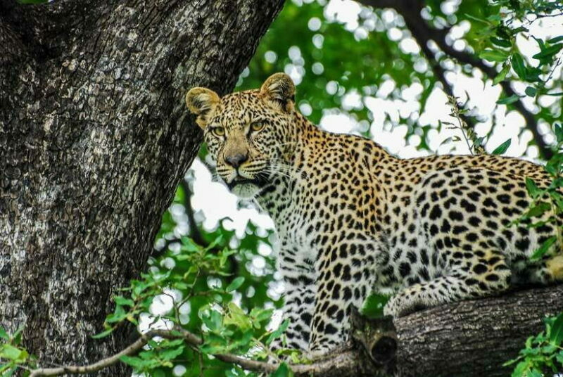 Sri Lanka: 7-Day Off-The-Beaten Path Private Tour - Practical Details and What to Expect