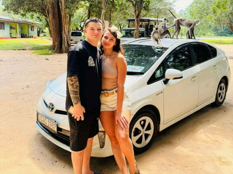 Sri Lanka Car Rental with Driver - 3 Days Minimum, 180km/Day - Why This Experience Might Be Perfect for You