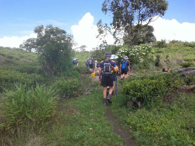 Sri Lanka: Ceylon Royal Tea Trails Trekking Tour - FAQ