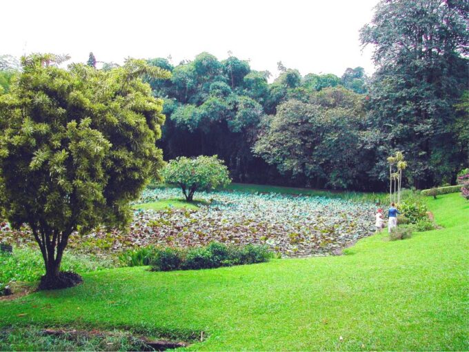 Sri Lanka Cultural Triangle in 2 Days With Minneriya Safari - Matale Spice Garden