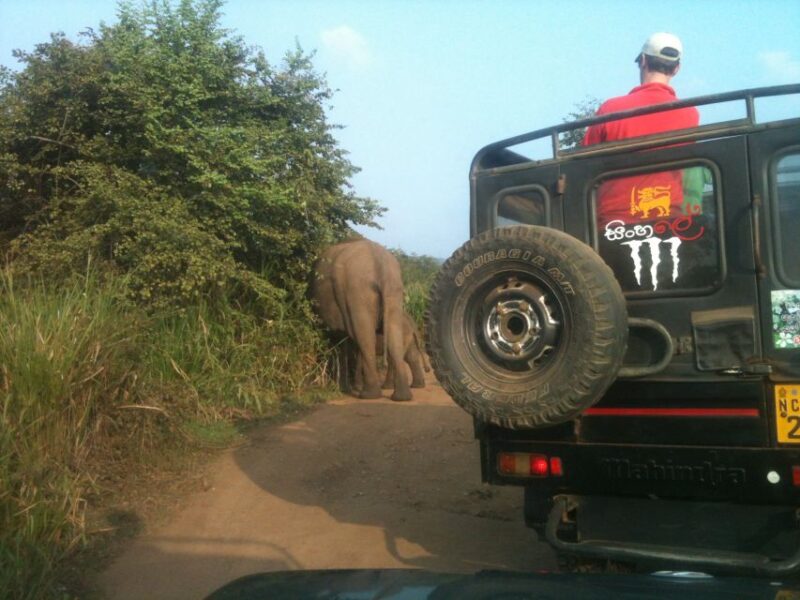 Sri Lanka Culture, Nature, Beach, Sightseeing Tour - Ella to Yala
