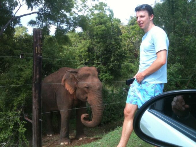 Sri Lanka Culture, Nature, Beach, Sightseeing Tour - Yala to Mirissa and Galle