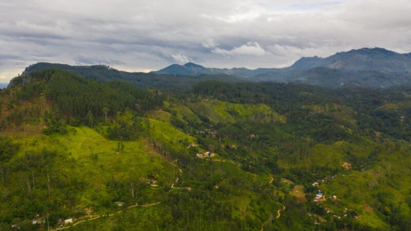 Sri Lanka: Ella Rock Private Guided Hike - Local Biodiversity