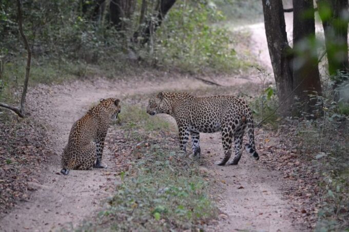 Sri Lanka Full Circle on Beaten Path-4 Days Tour - Frequently Asked Questions
