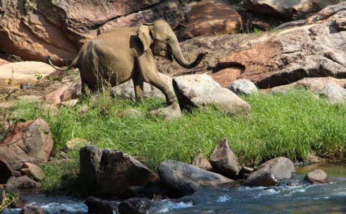 Sri Lanka: Gal Oya National Park Overnight Tour - Booking and Cancellation Policy