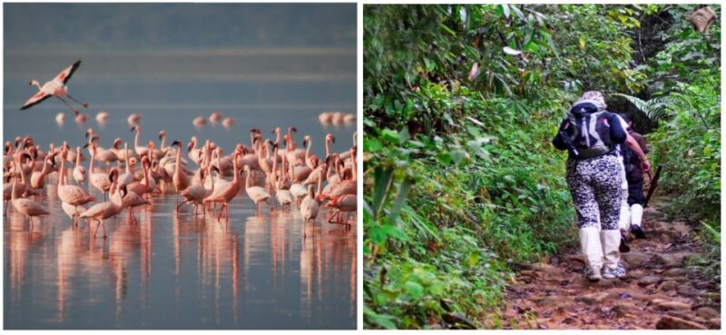 Sri Lanka Green Bless- Ultimate 2 Days Trip to Enjoy Nature - Key Points