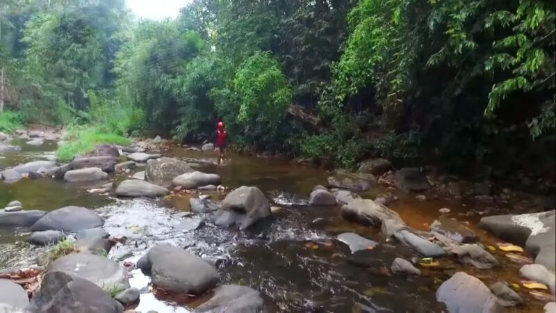 Sri Lanka Green Bless- Ultimate 2 Days Trip to Enjoy Nature - Itinerary Details