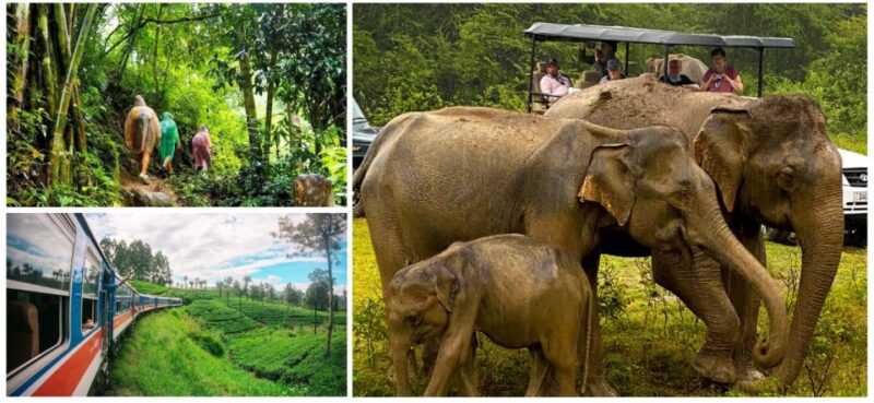 Sri Lanka Green Bless- Ultimate 2 Days Trip to Enjoy Nature - Highlights and Experiences