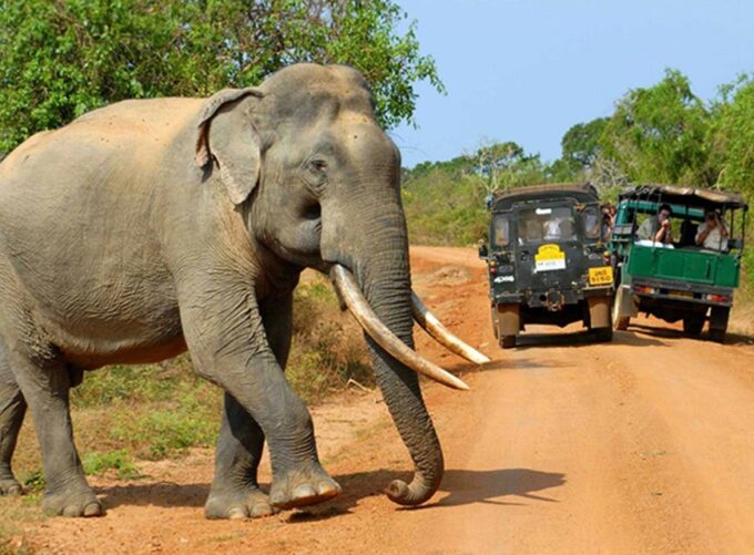 Sri Lanka Green Bless- Ultimate 2 Days Trip to Enjoy Nature - Frequently Asked Questions