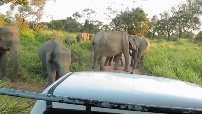 Sri Lanka Green Bless- Ultimate 2 Days Trip to Enjoy Nature - Recap