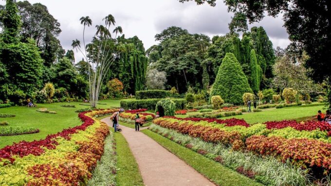 Sri Lanka Heritage Sites: 6-Day Private Guided Tour - Recap